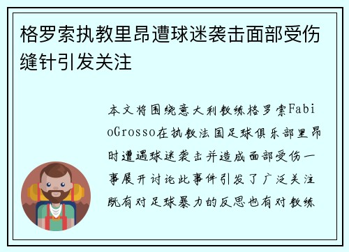 格罗索执教里昂遭球迷袭击面部受伤缝针引发关注